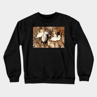 Preening Crewneck Sweatshirt